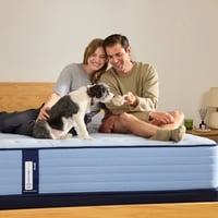 Ashley Sealy Posturepedic® Plus Ellie Lane Ultra Firm King Mattress