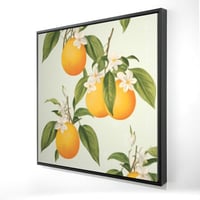 Begin Edition International Inc. Suspended Oranges - Framed Canvas for Living Room Decor