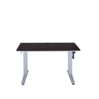 Symple Stuff Howes Lift Standing Desk Converter