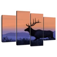 Ebern Designs Brampt Elk Against Sunset