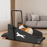 EvoNet Black+orange Steel Dog Treadmill, 110v 1.5hp Pet Pacer (44.2”l×23.2”w×31.2”h) – Ideal For Small/medium Dogs, Home Use, Low Noise Motor, Led Display (t