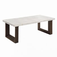 GRILLO HOME Edwyn White Natural Marble Top & Espresso Finish Rectangular Coffee Table
