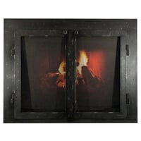 Williston Forge Koval Cabinet Style Steel Fireplace Door