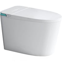 Alxfarton Luxury Intelligent Smart Toilet With Instant Warm Water Sprayer And Dryer