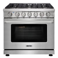KCTC1003