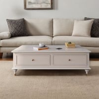 EXCEEB Four Leg Coffee Table with Storage