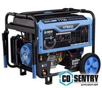 Pulsar 7 750-Watt Dual Fuel Portable Generator with Electric Start and CO Sentry