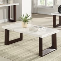 Acme Furniture ACME Edwyn Marble and Wood Rectangular Coffee Table in White and Brown