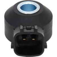 HOLSTEIN 2KNC0481 Ignition Knock(Detonation) Sensor