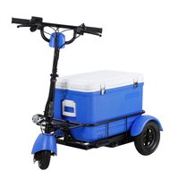 Flynama Mobility Scooter- Speeds Up To 11.6mph and Generous 55l Cooler Capacity | L-P166725