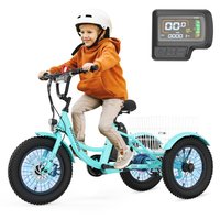 Esazn 16-in Youth unisex E-bike in Blue | SOLDC-CD1-OR-LYU