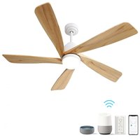 Tatayosi 52 Inch Indoor Ceiling Fan With Dimmable LED Light 5 Solid Wood Blades Remote Control Reversible DC Motor With Smart APP Control | DJ-P146360