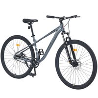 Bybafun 29-in Men's Mountain bike in Gray | YA1300303