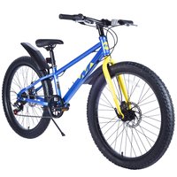 Bybafun 24-in Youth unisex Fat bike in Blue | YA1300185