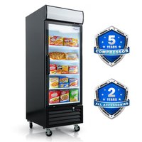 Dexmalle 27 in. Anti-Fogging Tempered Glass Door 19.3-Cu.ft Upright Frost-free Commercial Freezer in Black | W2095126138