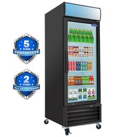 Dexmalle 34 in.One Glass Door 19.3-cu ft Commercial Refrigerators Swing Door Merchandiser(Black) | W2095126136