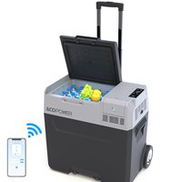 GZMR 52 Garage Ready Frost-free Chest Freezer ( Plastic ) | GZ-S474AAN
