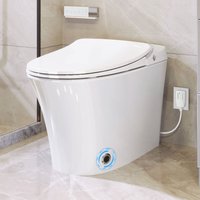 Tatayosi White Luxury Smart Bidet Toilet with Warm Water Dryer and Remote Control | XH-235AAA