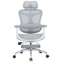 SIHOO - C300 Computer Chair with Footrest,Gaming Chair with Soft 4D Armrests, Dynamic Lumbar Support and Swivel Office Chair - Basic - Gray