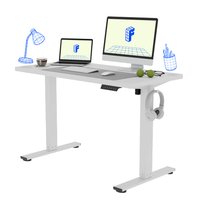 FlexiSpot - E2 48''W Electric Adjustable Standing Desk Chipboard, / - White