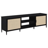 Coaster Co. of America - Amherst 2-door 70-inch Metal TV Stand Media Console - Black