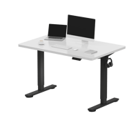 FlexiSpot - E2 48''W x 30''D Electric Adjustable Standing Desk Chipboard, /Black - White
