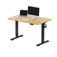 FlexiSpot - E2 48''W x 30''D Electric Adjustable Standing Desk Chipboard, /Black - Maple