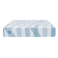 Sealy Dreamlife Queen 10" Hybrid Mattress