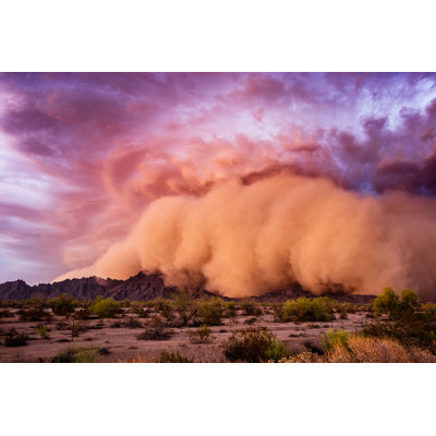 Millwood Pines Dust Storm, Arizona Desert