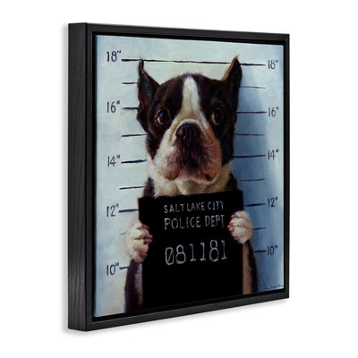 Trinx Boston Terrier Jail Convicted Mugshot
