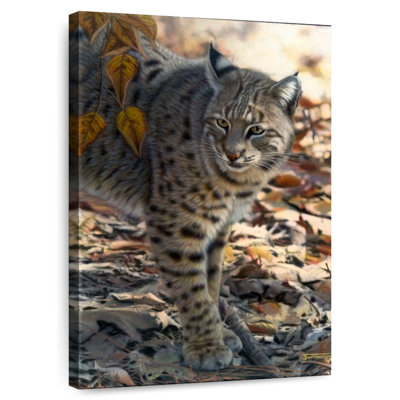 Millwood Pines Woodland Ghost Bobcat