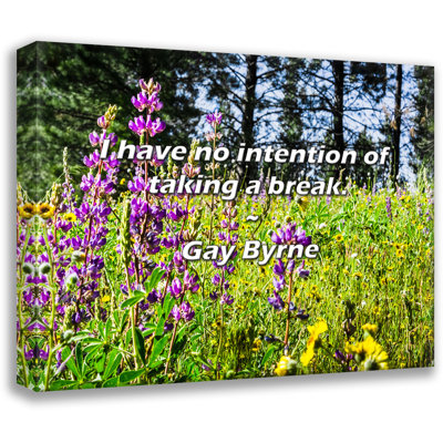 Ophelia & Co. Gay Byrne Quote: I have no intention of taking a break.