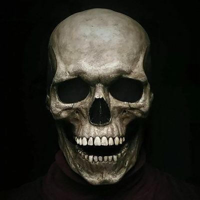 The Holiday Aisle® Realistic Movable Halloween Full Head Skull Mask Helmet With Jaw Horror Cosplay