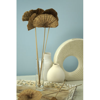 Primrue Dried Mushrooms