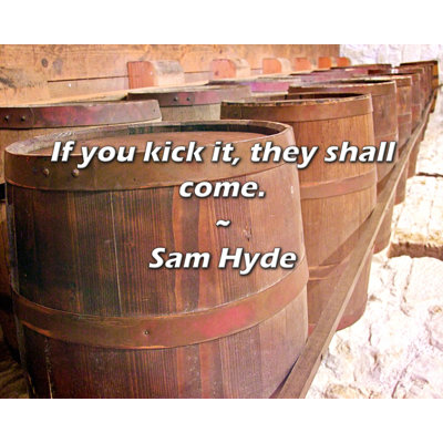 Trinx Sam Hyde Quote: If you kick it, they shall come.