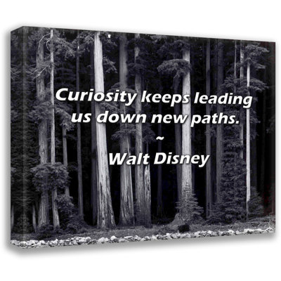 Union Rustic Walt Quote: Curiosity keeps leading us down new paths.