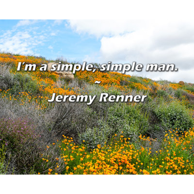 Trinx Jeremy Renner Quote: I’m a simple, simple man.