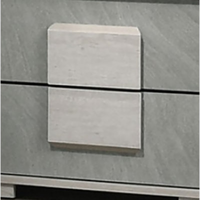 AHSV8875