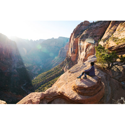 Millwood Pines Zion National Park by Nycshooter