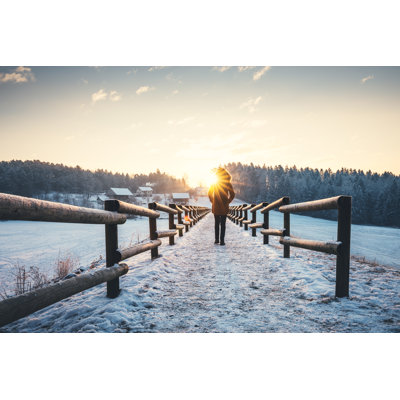Millwood Pines Winter Walk by Borchee