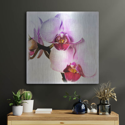 Winston Porter " Pink Orchid Close Up 02 " by Tom Quartermaine
