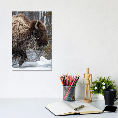 East Urban Home Usa, Wyoming, Yellowstone National Park. American Bison (Bos Bison) Struggles Through the Snow. by Ellen Goff - Wrapped Canvas Photograph
