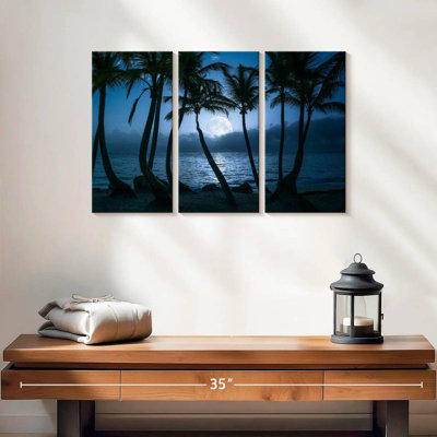 Millwood Pines Punta Cana Palms At Night
