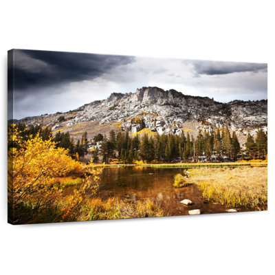 Millwood Pines Alvord Autumn Storm In Sierra Nevada
