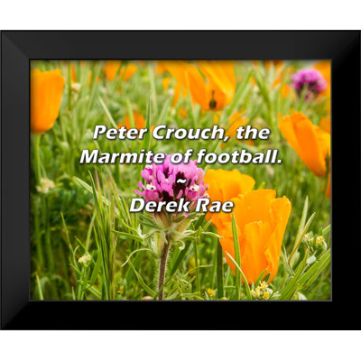 Ivy Bronx Derek Rae Quote: Peter Crouch, the Marmite of football.
