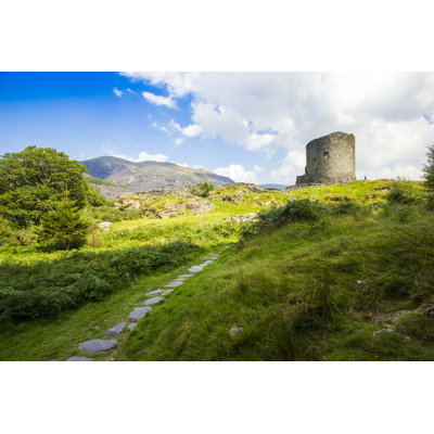 Millwood Pines Castell (Castle) Dolbadarn - Wrapped Canvas Photograph