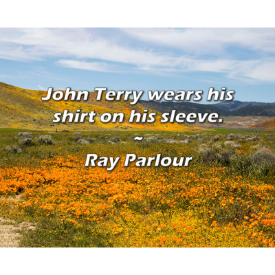 Latitude Run® Ray Parlour Quote: John Terry wears his shirt on his sleeve.