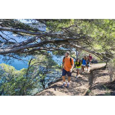 Ebern Designs Trekking on Holidays by Xavierarnau