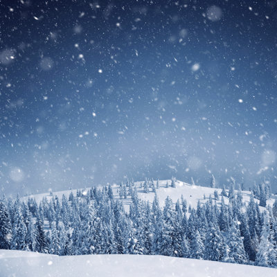 Millwood Pines Snow Blizzard in the Morning by Cunfek