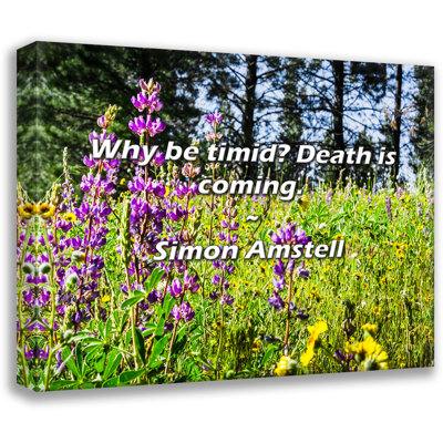 Latitude Run® Simon Amstell Quote: Why be timid? Death is coming.